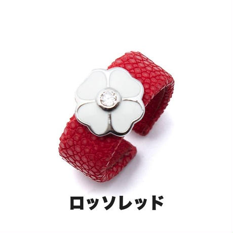 550c43732b34926f12001412