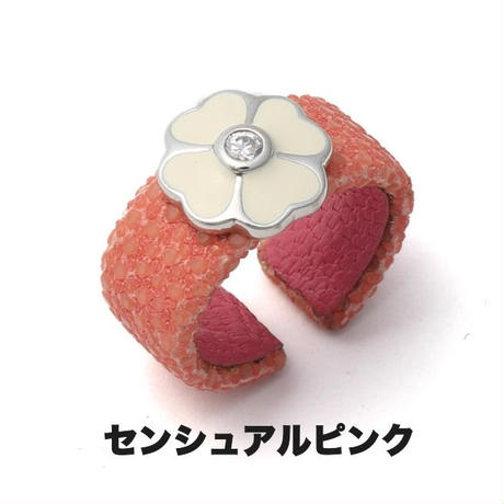550c43732b34926f12001412