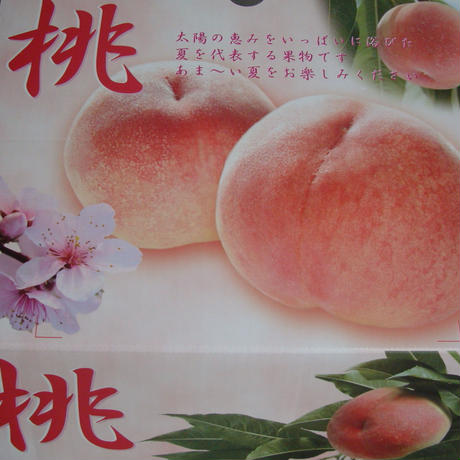 557bb2cd2b349294ad0037f8