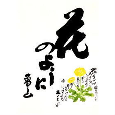 51cfdbc462d7d514640007c8