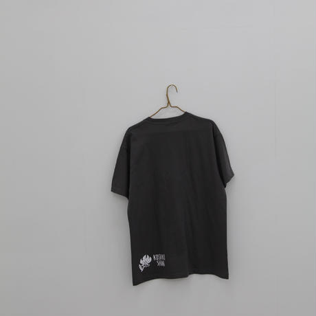 53c20cc08a5610191e001117