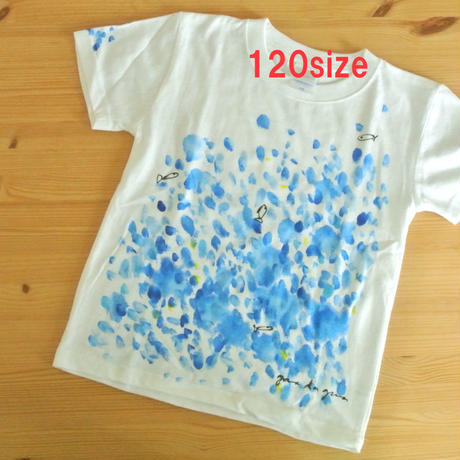 5d317d724c806476f1cb21d3