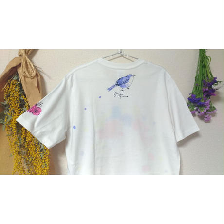 5ec75c8055fa037db5332931