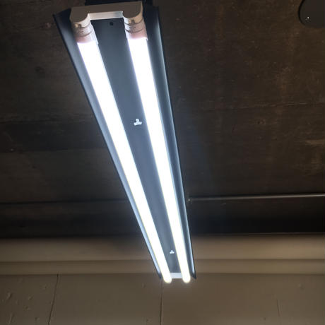 5c4046c3c3976c65537f68ba