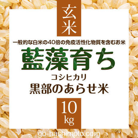 5cde353cc843ce3273c5537f
