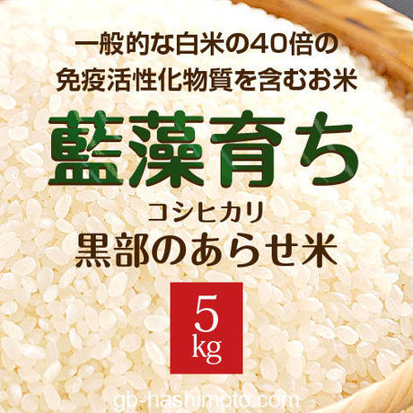 5cde1db40376c6427eb647b0