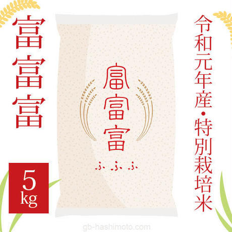 5d9486a7bc45ac50d3c89bb0