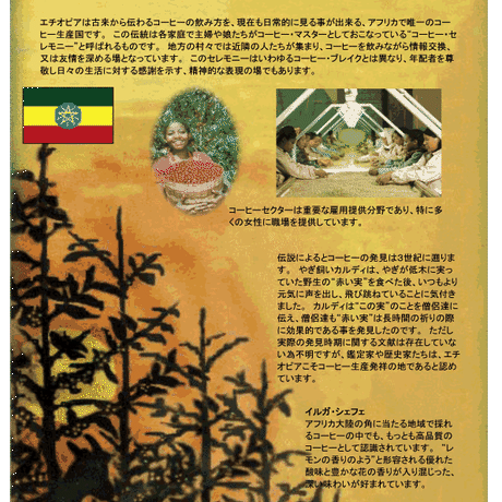 519e72fe62d7d57928000533