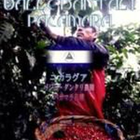 540531883cd48210cb00127d