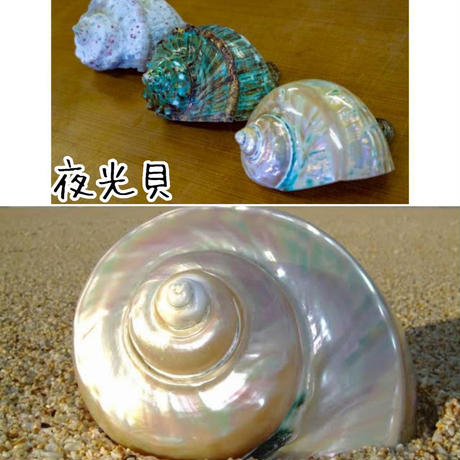5cfce402b8174c263ea45193