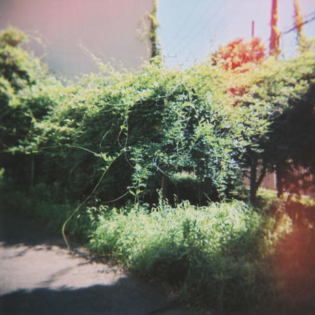 5284cddc3e7a4a61c8000073