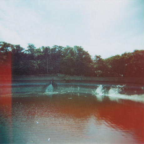 5284cddc3e7a4a61c8000073