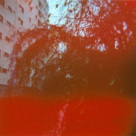 5284d4ca236a1ebc96000059