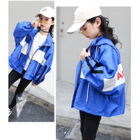 5c4bd8a0c2fc282797110df6