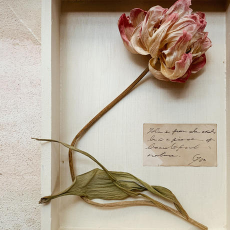 地球のかけら フレーム S 10 Gis Store