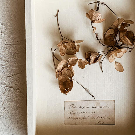 地球のかけら フレーム S 08 Gis Store