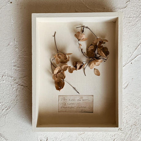 地球のかけら フレーム S 08 Gis Store