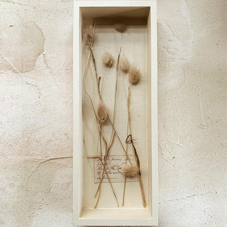 地球のかけら フレーム Sl 10 Gis Store