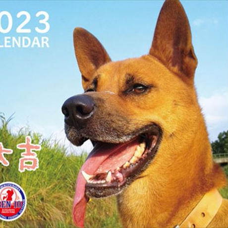 【予約販売】 犬の大吉 2023年 壁掛けカレンダー KK23170