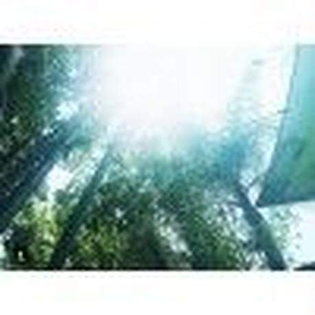 588d4dab9821cc3ef4010faf