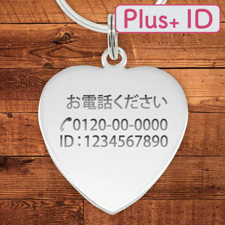 5c3163306870240c822a06a5