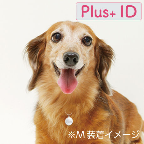 5c3161802a28620ab52c6dd2
