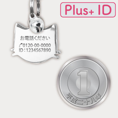 5c258dcd14444803865ff166