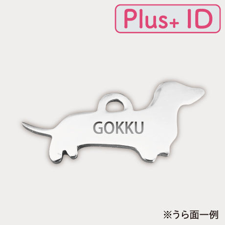 5c1c698a7cd361513a075f9f