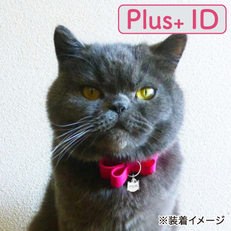 5c258dcd14444803865ff166