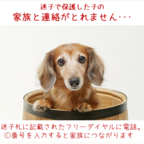 5c28ff5be73a254d3b1eff9f