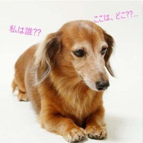 5c28ff5be73a254d3b1eff9f