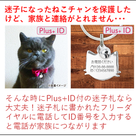 5c258dcd14444803865ff166