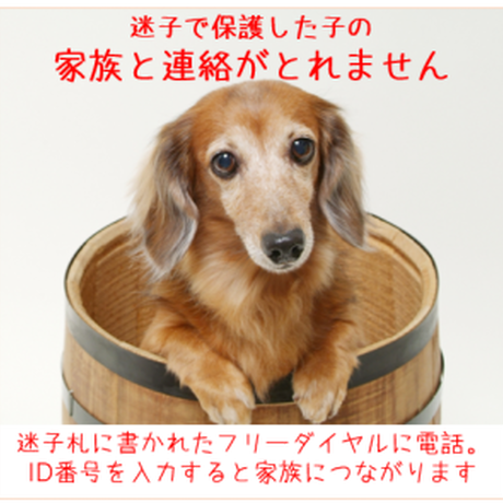 5c1c698a7cd361513a075f9f