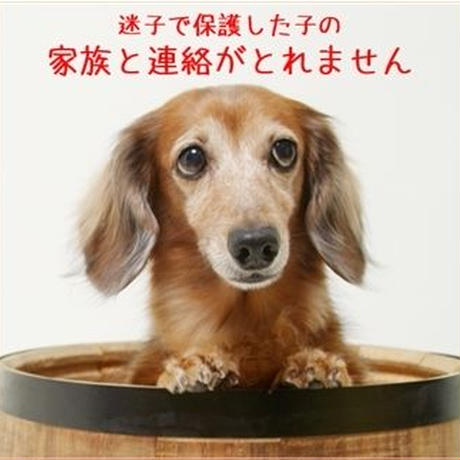 5c1c698a7cd361513a075f9f
