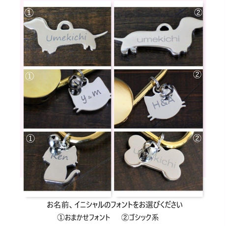 5c538089e73a253a7a45b73b
