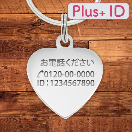 5c31634ae73a2508ae1f0047