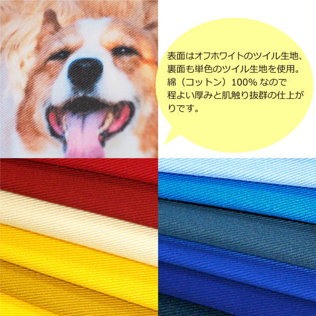 5a87a887ed05e62f54001c87