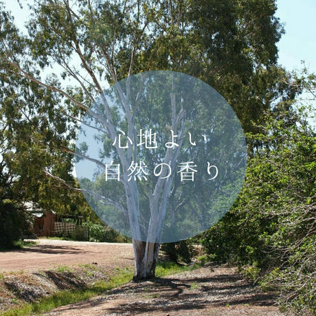 5bc480fb626c8435040000d7