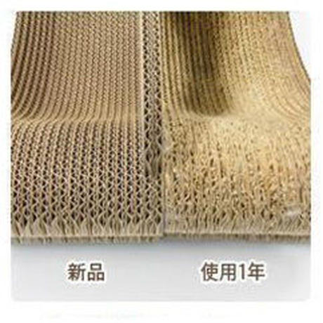 5c5cafad6870245a82c1de70