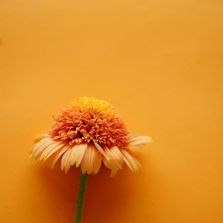 5d9681f5220e75174351ce86