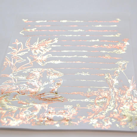 5d6b6b5600631f5981494aa8