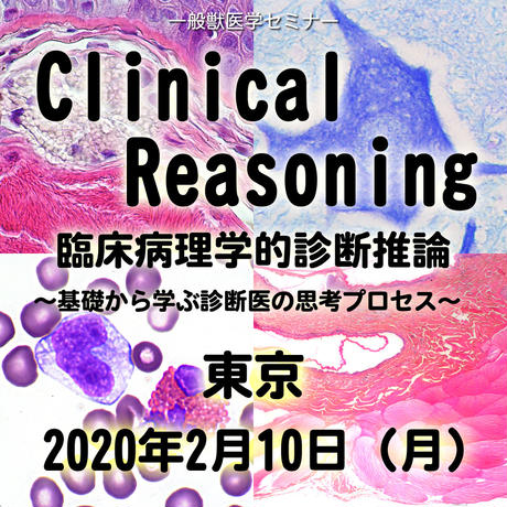 5e2b80fac78a531235818a31