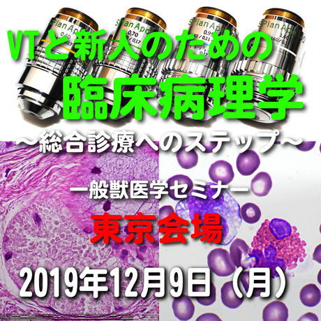 5dd952ff4fb6c778e9401ebb