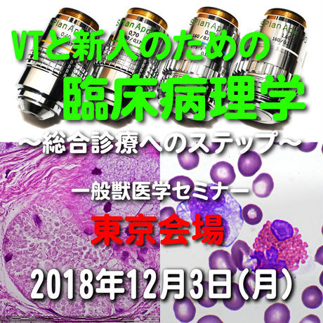 5bf39d64787d84615b0000a9