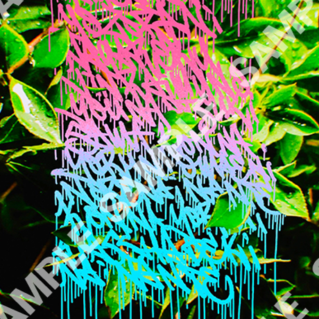 5eb89ca7bd2178619c93c3cd
