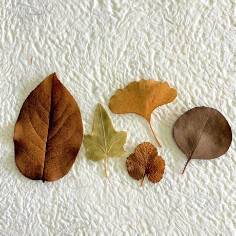 葉っぱアートデザイン Stores