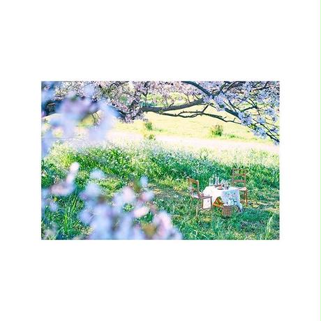 5cf65112c843ce726d457da5
