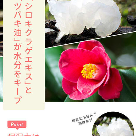 5c6bb104aee1bb3c1db1472b