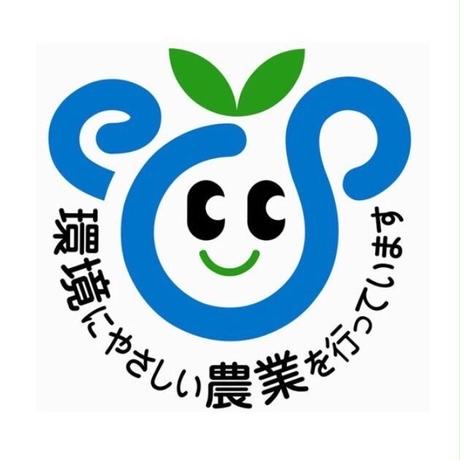 5bcb2e2150bbc35cbf0002cf