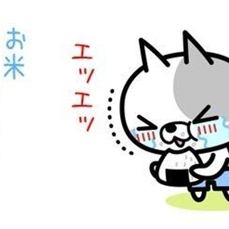 5bcc5b32a6e6ee53d1000d40